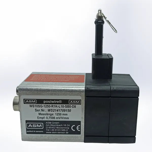 WS10SG-1250-R1K-L10-S80-D8